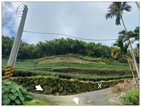 後棟仔山 O型路線2833440