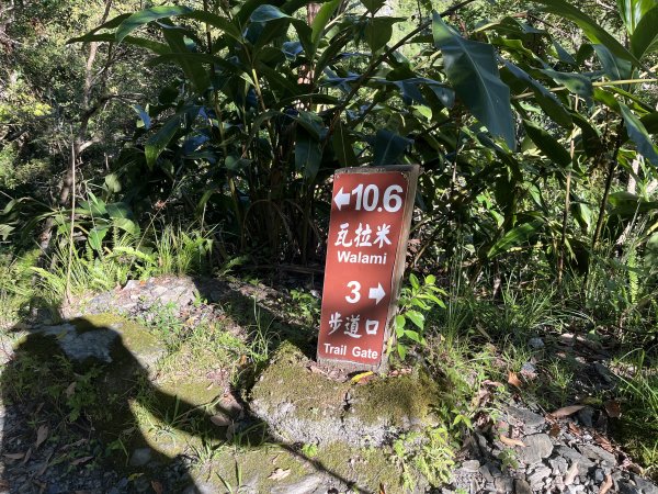[玉山尋寶任務-03/12] 2025_0810 瓦拉米步道2857489