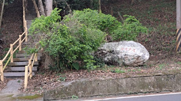 20250218 金柑樹山+忘憂森林2719516