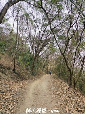 【台中太平】小百岳三汀山3027086