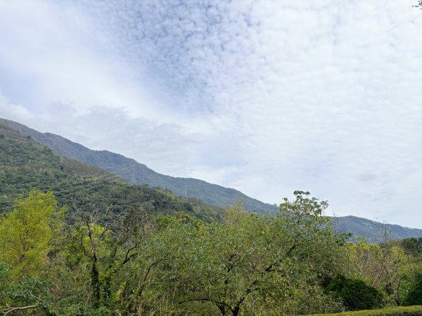 林田山林業文化園區2728240