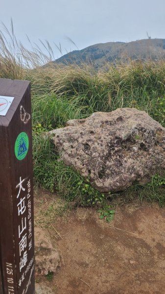 2026-0116 大屯三山_貴子坑_北投2984726