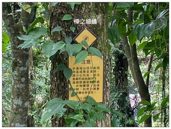 白布帆山、挑沙古道 連走2815733