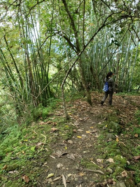 米棧古道西段938039