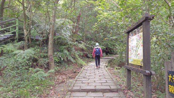 (姨婆趴趴走)第五十五集:攀登健走台北大崙頭尾山親山步道環狀一圈2853759