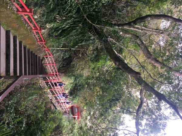 仙山（靈洞宮、協靈宮2723191