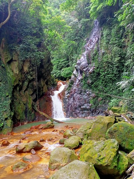 《暢遊天母翠峰瀑布、天母古道、下竹林山、玉稠湖山主峰&南峰》1445593