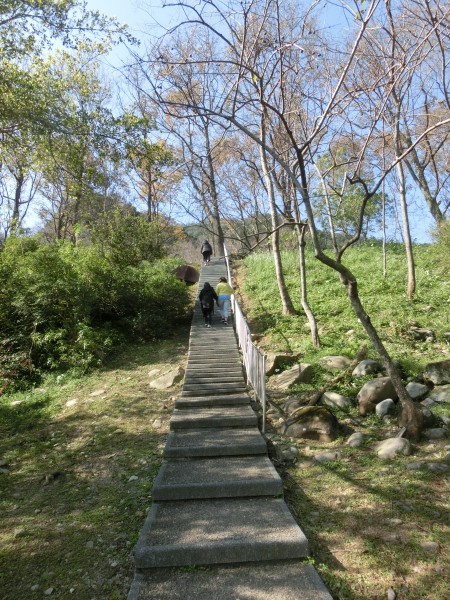 槭林公園．石門水庫．南苑園區237342