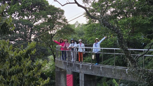 免出國免門票，連綿壯闊的梯田風情，全臺唯一梯田鳶尾花海，嵩山百年梯田2764676