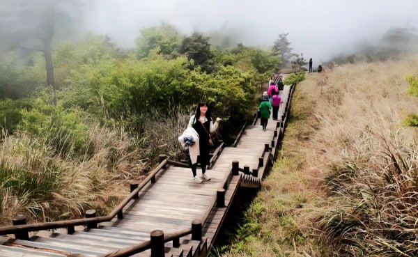 觀霧森林遊樂區，雲霧步道，大鹿林道西線，雪霸休閒農場，雲海咖啡廳觀景台，野馬瞰山