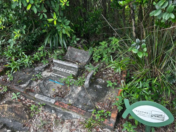 內湖鯉魚山之旅2811743