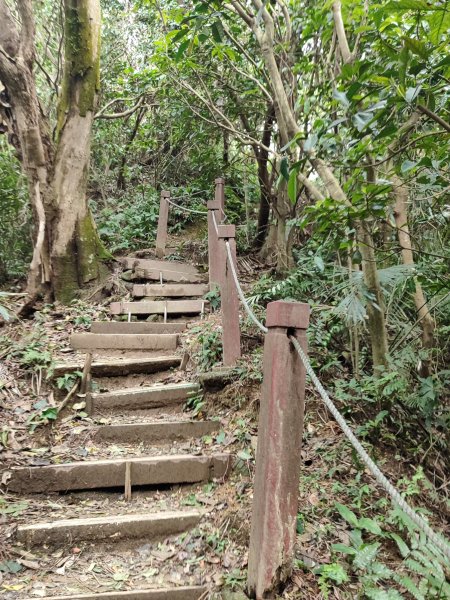 鳶山登山步道2760125
