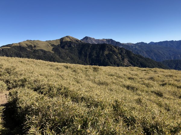 2019_1215_奇萊南峰_南華山2015824