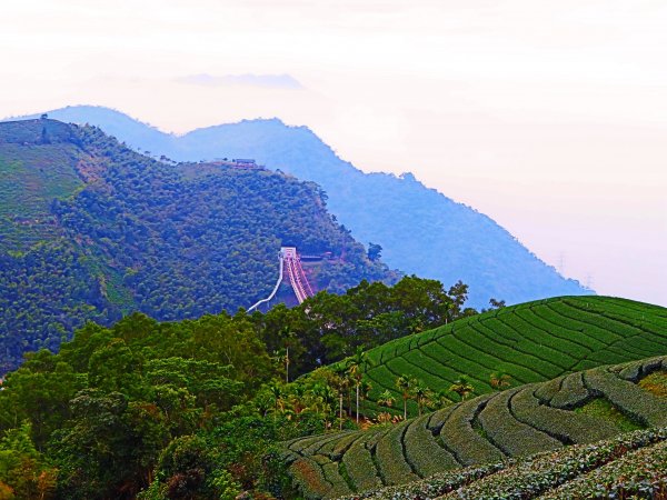 雲嘉五連峰 雲深不知處510935