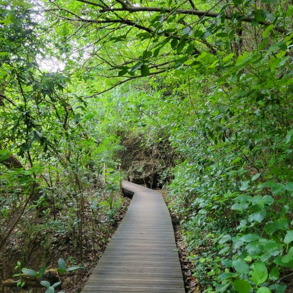 半屏山步道2306733