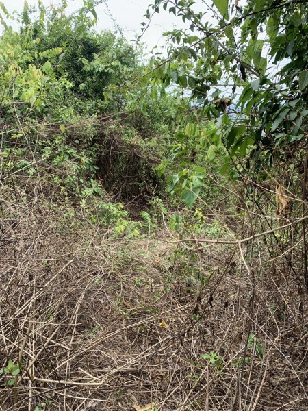 20250531屏東武潭(新厝山)2803211