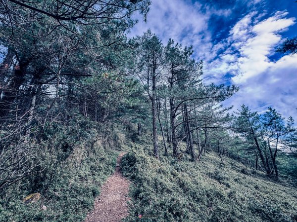 塔塔加五峰2761065