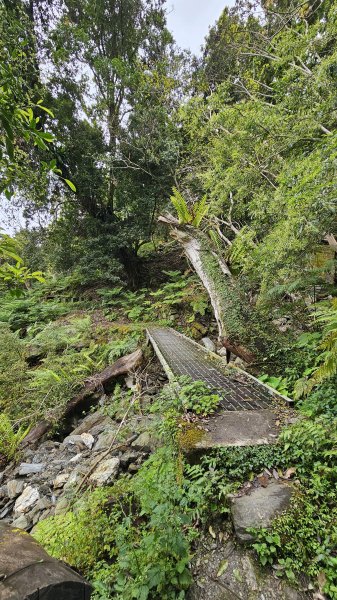 【美美兔走山趣】瓦拉米單攻27.2K-神人級路線。2773389