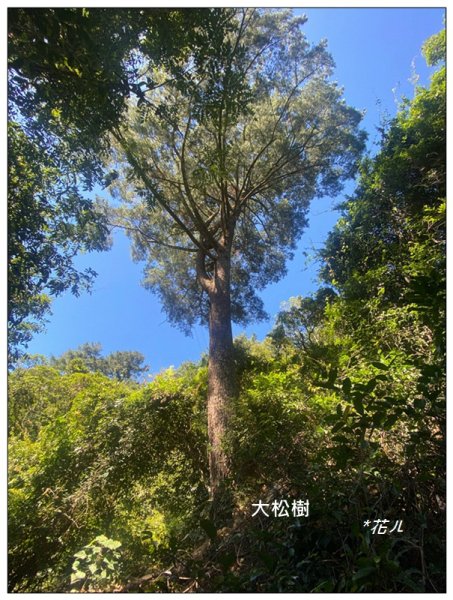 北松鶴山、德芙蘭步道 (台中 和平)2922139