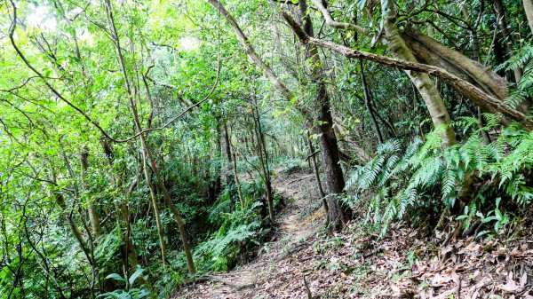 大邱田石門洞2856197