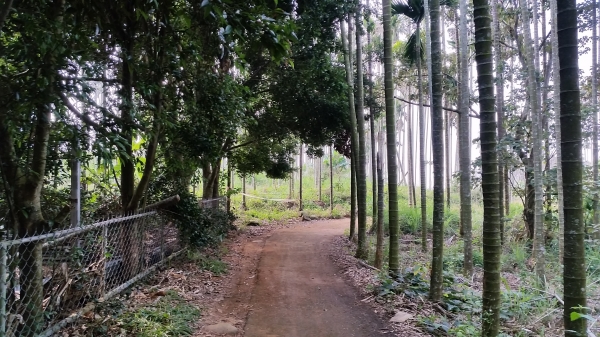 彰化縣田中鎮-田中森林登山步道90013