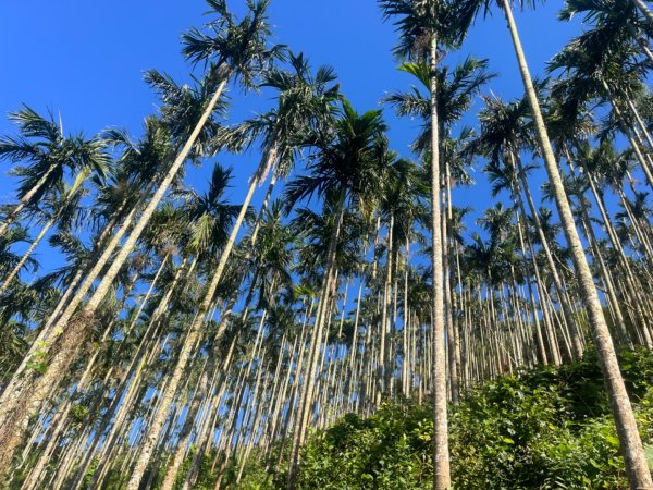 雲嘉五連峰2735904