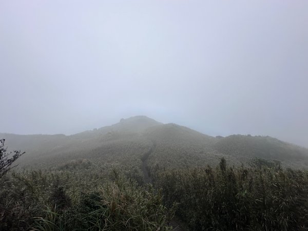 臺北大縱走第三四段2751126