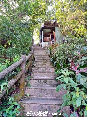 【新北中和】小百岳~烘爐地登山步道 (南勢角山)2950583