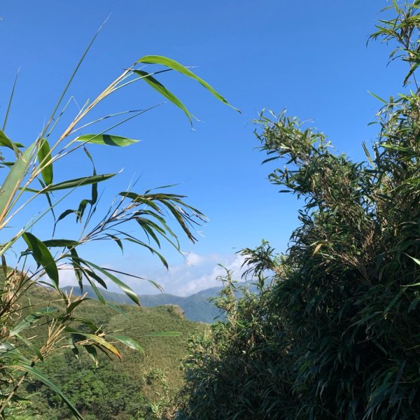 七星山主峰、東峰3124770