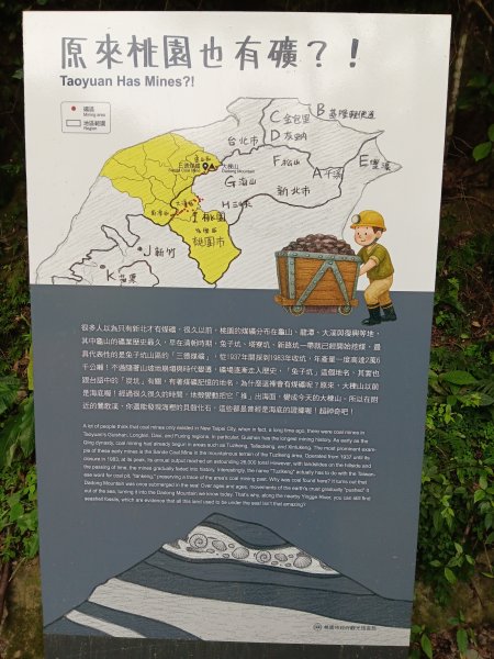 微笑山線大棟山系百年大榕樹段+大湖坑步道2981044