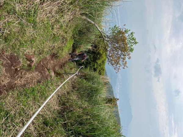 4/12台北大縱走第二段小油坑到二子坪2763652