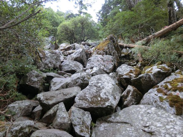 石瀑滾滾登玉山前峰~這輩子只會爬這一次182682