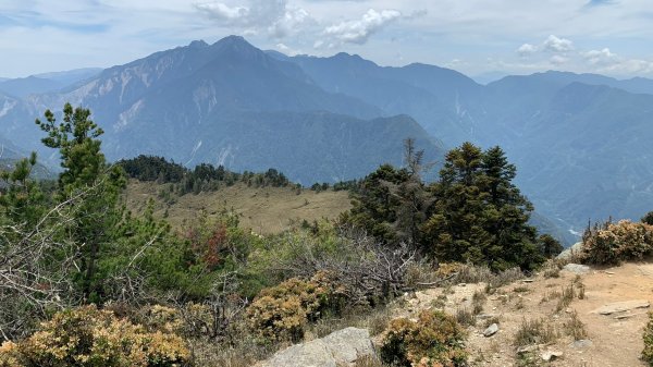 南投｜信義 郡大山兩天一夜1487966