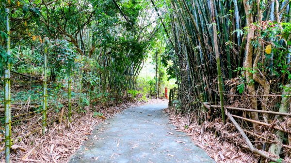 大崗山,盤龍峽谷2954506