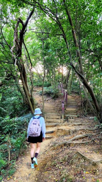 三峽鳶尾山，鳶山東峰，桃園神社，土城彈藥庫舊址探險，新北大都會公園，新店二叭子植物園，外挖子山1910426