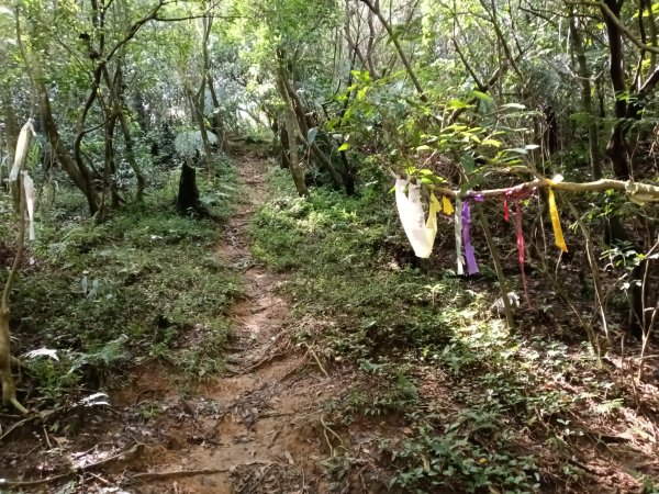 基隆市/萬里區界寮縱走之三界山+三界山西峰+開眼尖山+七分寮山+瑪七產道山泉水接水亭2979576