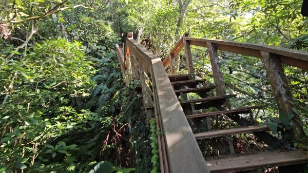 20251215林口森林步道+太平嶺海濱步道2969370