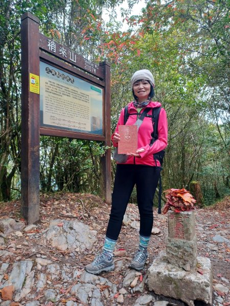 【台中和平】巧遇藍腹鷴帝雉。 稍來山步道2749912