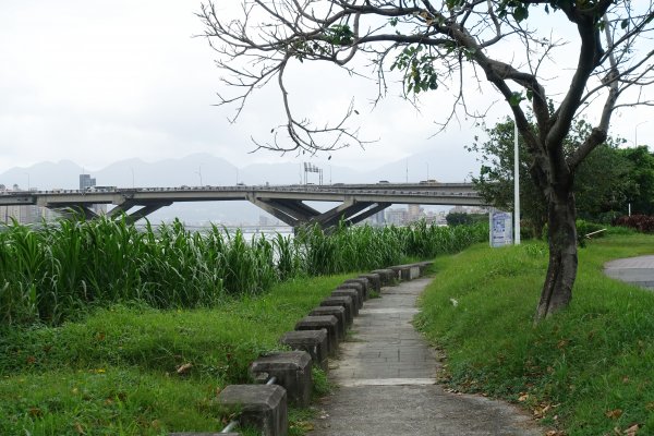 龍山河濱公園．玉泉公園1124282