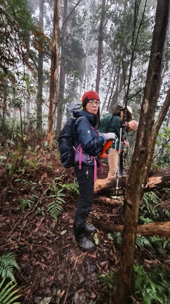 金牌縱走202502082709501