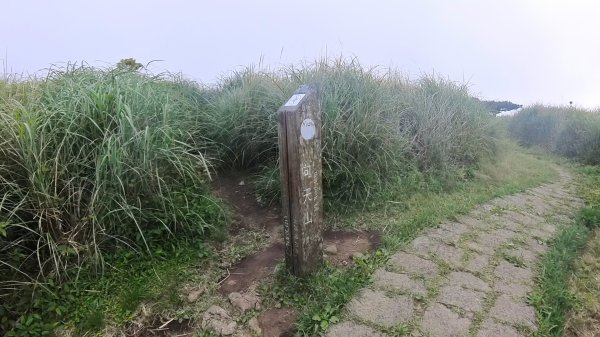 20250501_陽明山東西大縱走-round#32784154