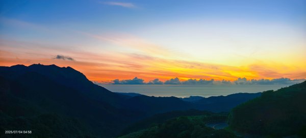 天龍國阿伯的日常-雲山水花鳥蝶 #日出 #牡丹蓮 #香水蓮 #手機拍攝 賞蝶趣 7/42826975
