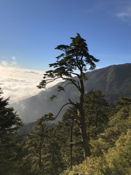 能高越嶺古道239860