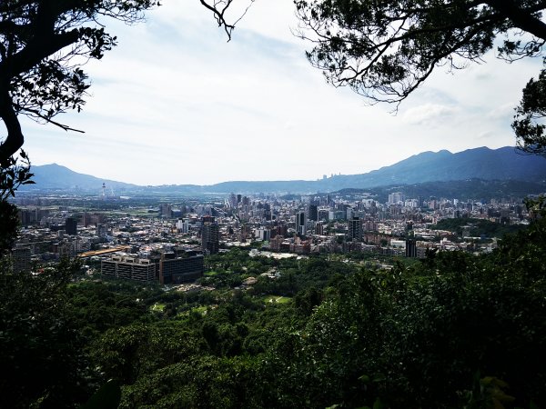 2019 06 22 劍潭山親山步道614627