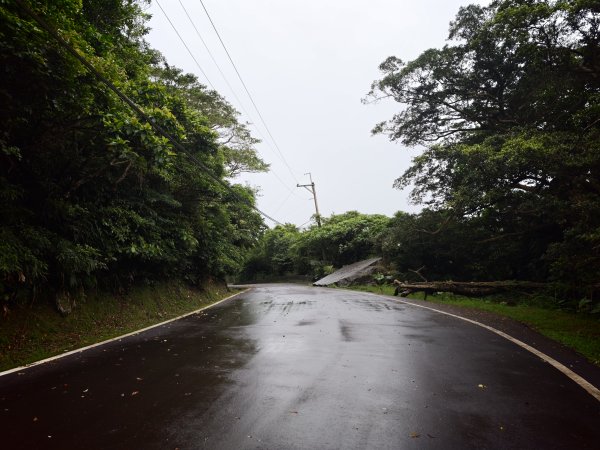 [淡蘭古道] 2026_0614 北路第三段_道路3075536