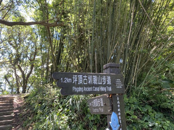 內雙溪的消暑密碼｜走一趟坪頂古圳就懂2873116