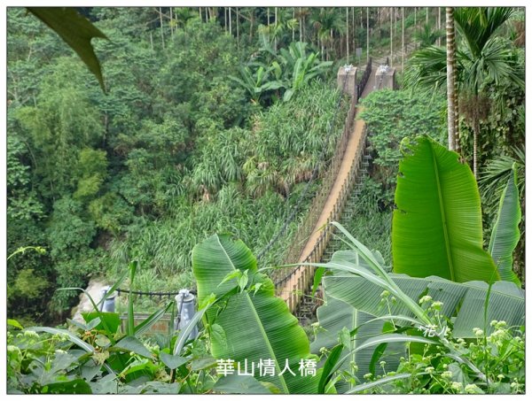 華山小天梯/情人橋781825