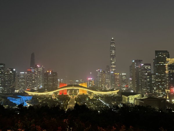 [茂名馬之行-13] 2026_0119 深圳夜景2997027