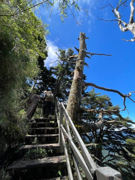 玉山主北 2025 06/07～06/082806364