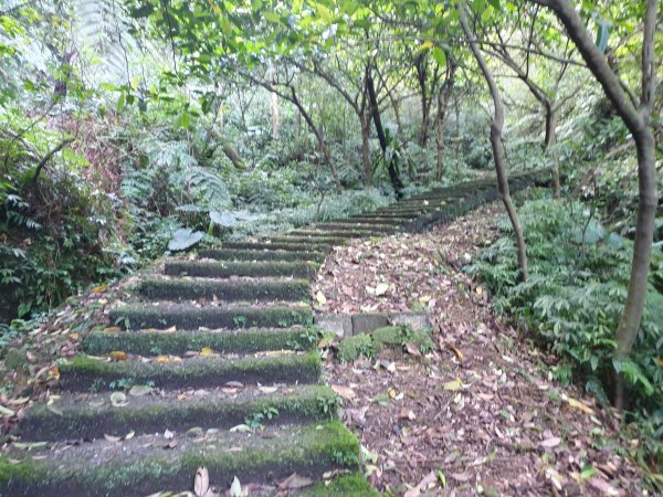 金字碑古道、不厭亭、牡丹山、貂山古道1556851